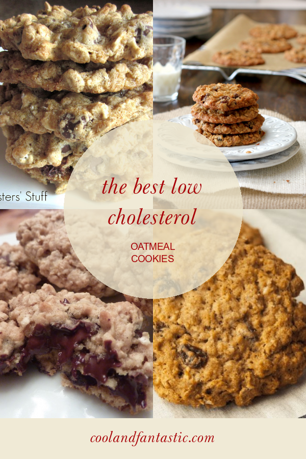 The Best Low Cholesterol Oatmeal Cookies - Home, Family, Style and Art ...